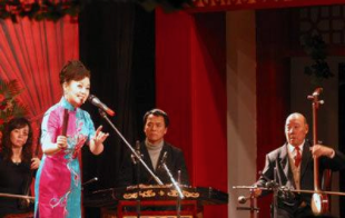 河南墜子視頻下載打包252-283