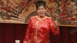 河南墜子視頻下載打包314-341