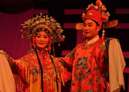 黃梅戲視頻下載打包077-097