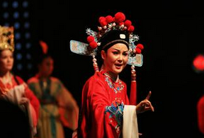 黃梅戲視頻下載打包098-107